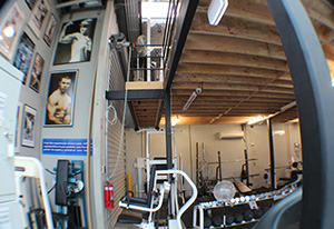 Fitnessland machines and weights